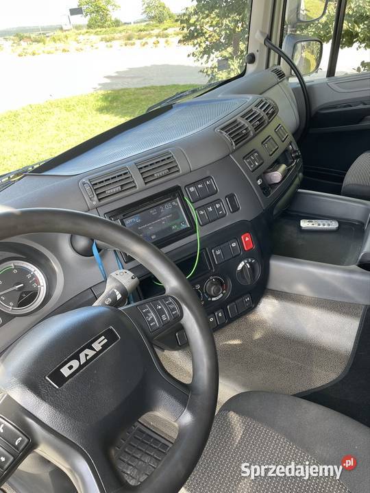 DAF CF 370 do żywca zwierząt Kielce