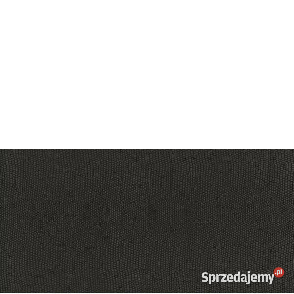 Płytki Snake grafit 29 x 593 Opoczno aktualne Białogard