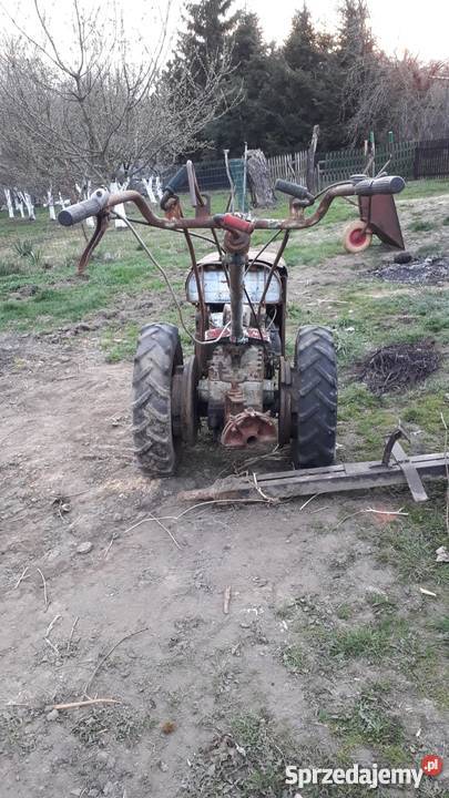 Dzik z przyczepką nieuszkodzony Ciągniki Rolnictwo Głubczyce