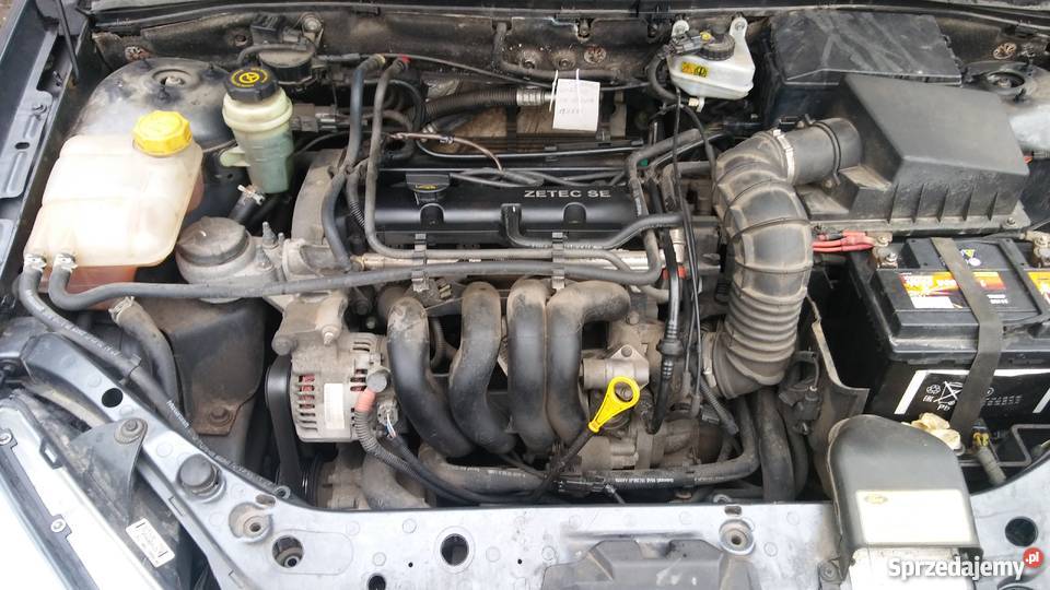 Ford Focus mk1 lift Focus Samsonów