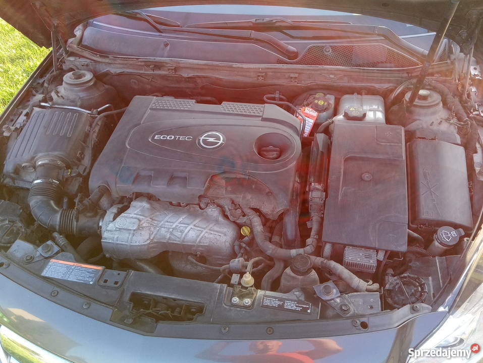 Opel Insignia A Kielce