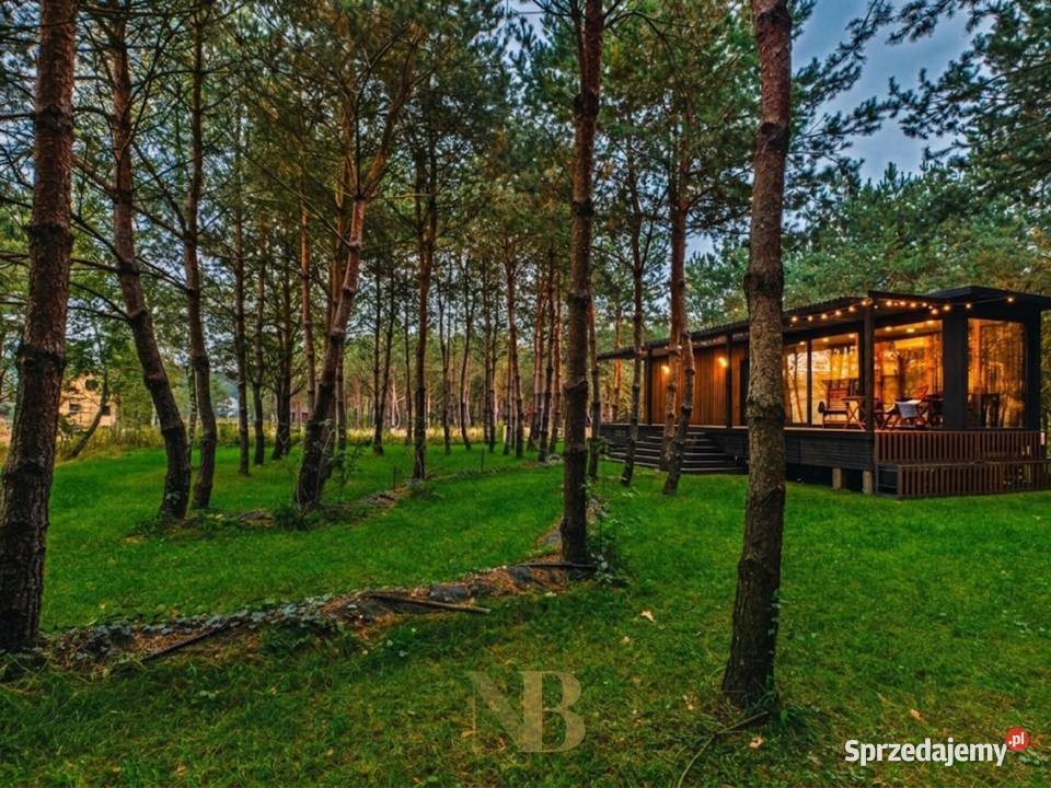 Tiny House na zalesionej działce 1250m w Dolinie Tomczyn