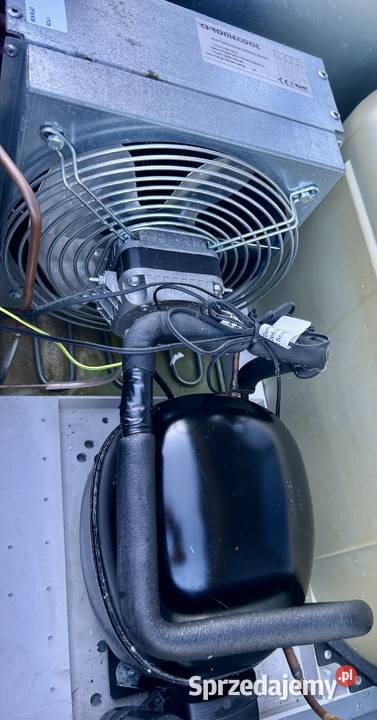 SZAFA CHŁODNICZA RILLING 600L LODÓWKA CHŁODNIA Krępsko sprzedam