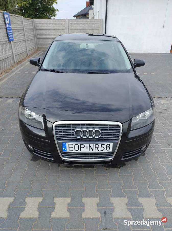 Audi A3 8P 16 MPI 102 benzyna 2006r 1595cm3