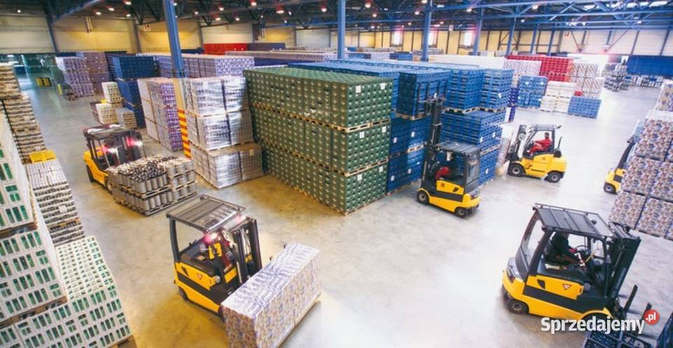 Gips ŚNIEŻNOBIAŁY Formierski do FORM Producenta sprzedam