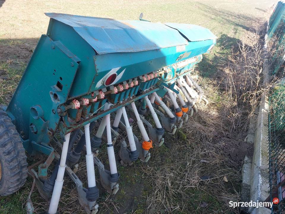Siewnik poznaniak Kamionka