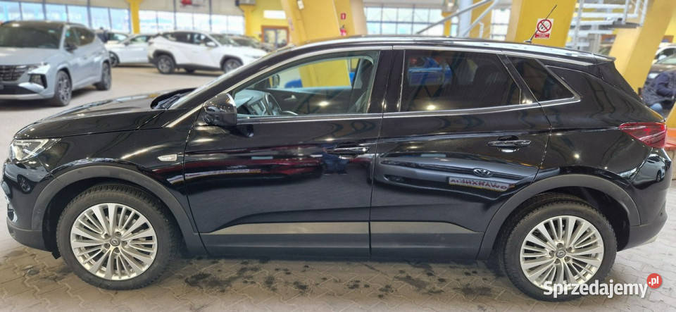Opel Grandland X OPIS W PODANEJ ROCZNA GWARANCJA isofix śląskie Mysłowice