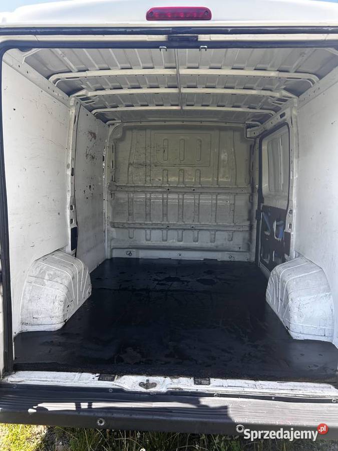 Fiat Ducato Niedźwiedź