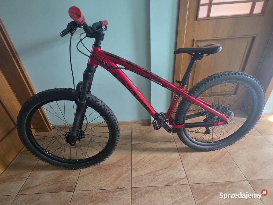 Dartmoor hornet 2021 Bronowice sprzedam