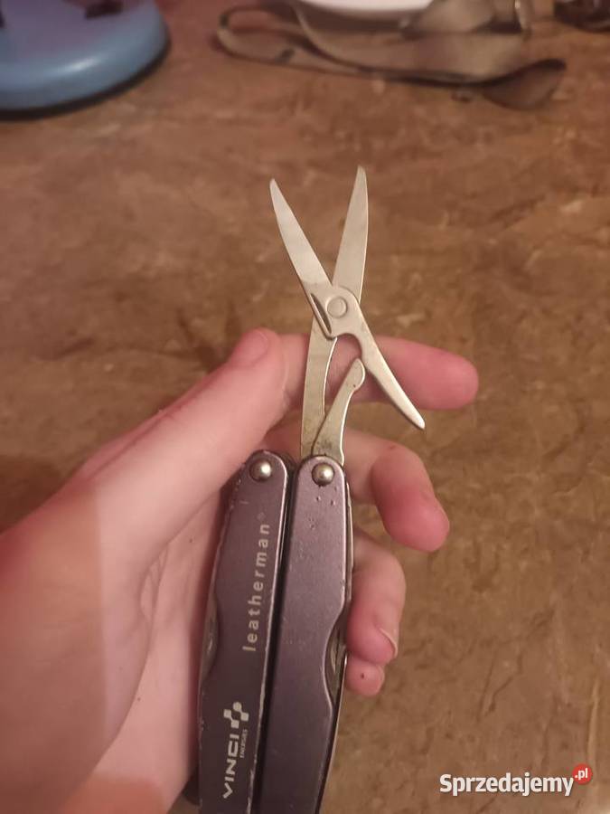 Vinci energies leatherman juice XE6