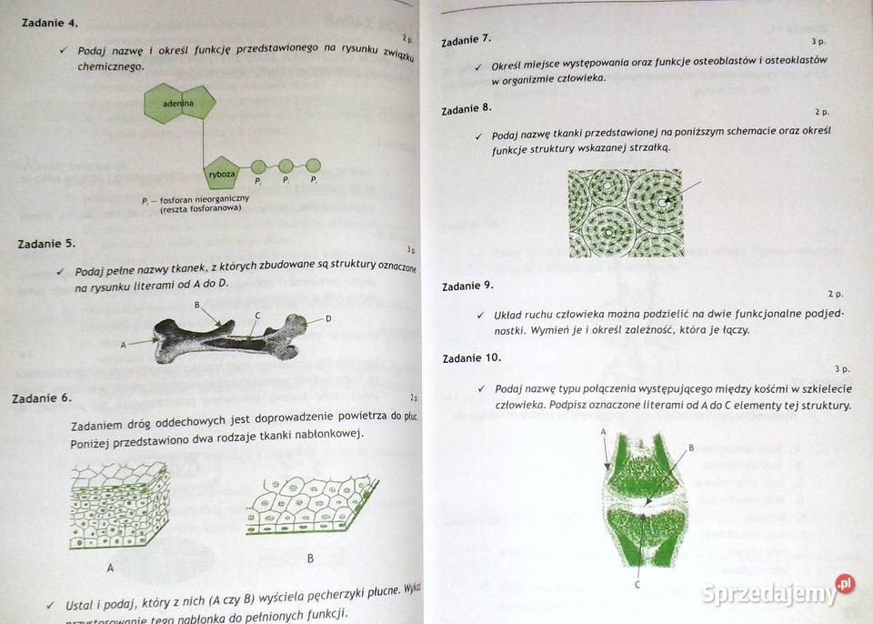 Biologia Zbiór zadań maturalnych Podstawowy M