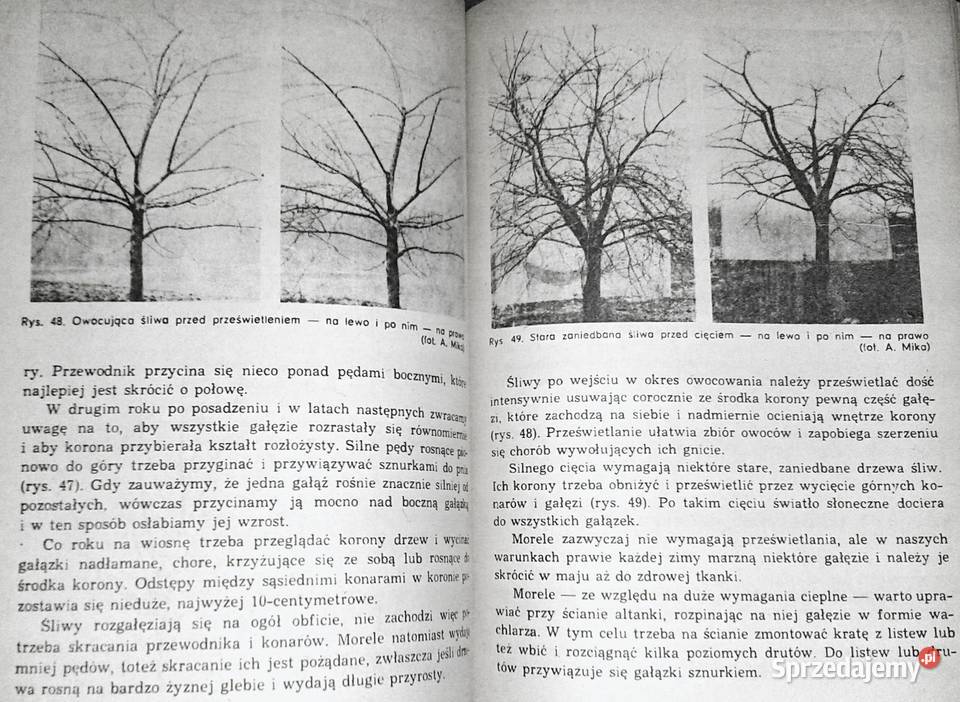 ABC Sadownictwa Moja działka Augustyn Mika lubelskie Chełm