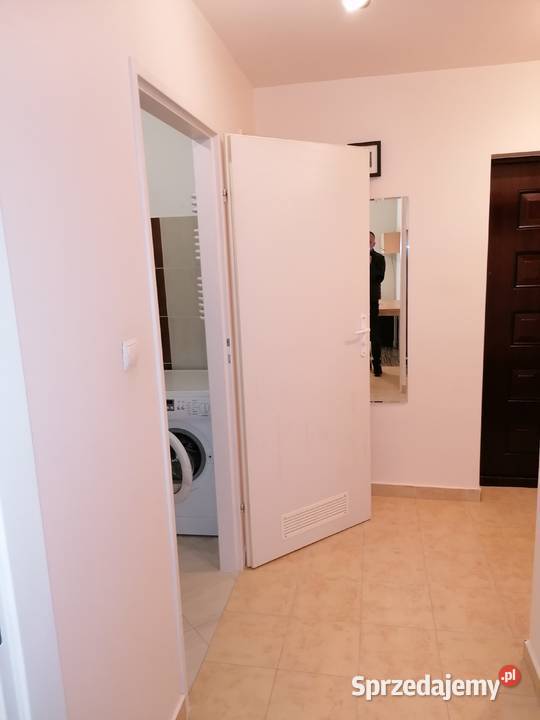 Mieszkanie do wynajęcia 384 m2 parter Liczba pokoi 2