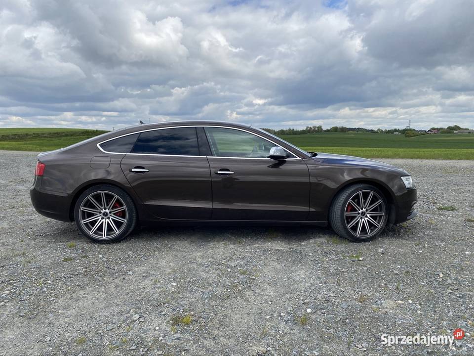 Audi A5 lift webasto Gniew