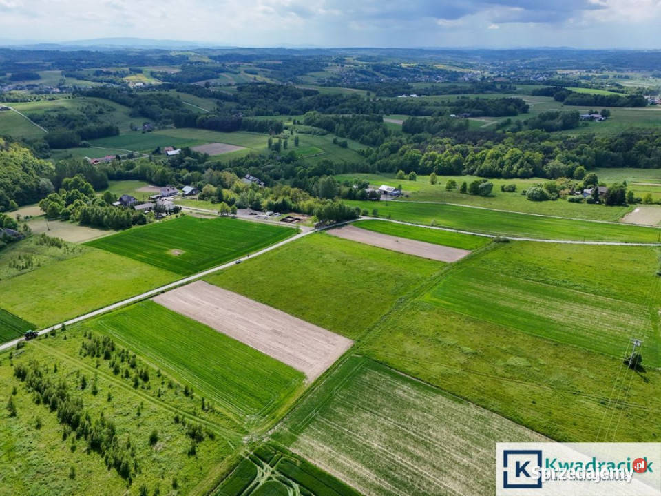 sprzedaży działki 10500m2 Czermna małopolskie sprzedam
