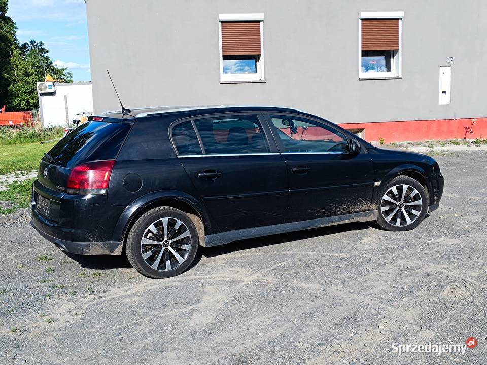 Opel Signum 30 V6 CDTI 177 2005 r Bogata Wersja Trzebiel