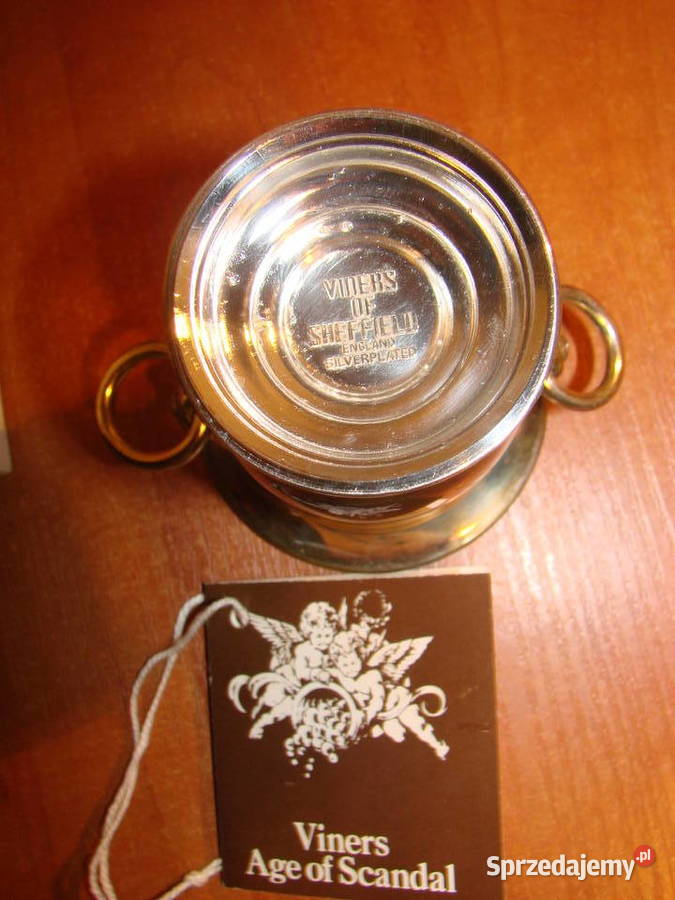 VINERS miniaturowa chłodziarka do wina plater Pruszcz Gdański