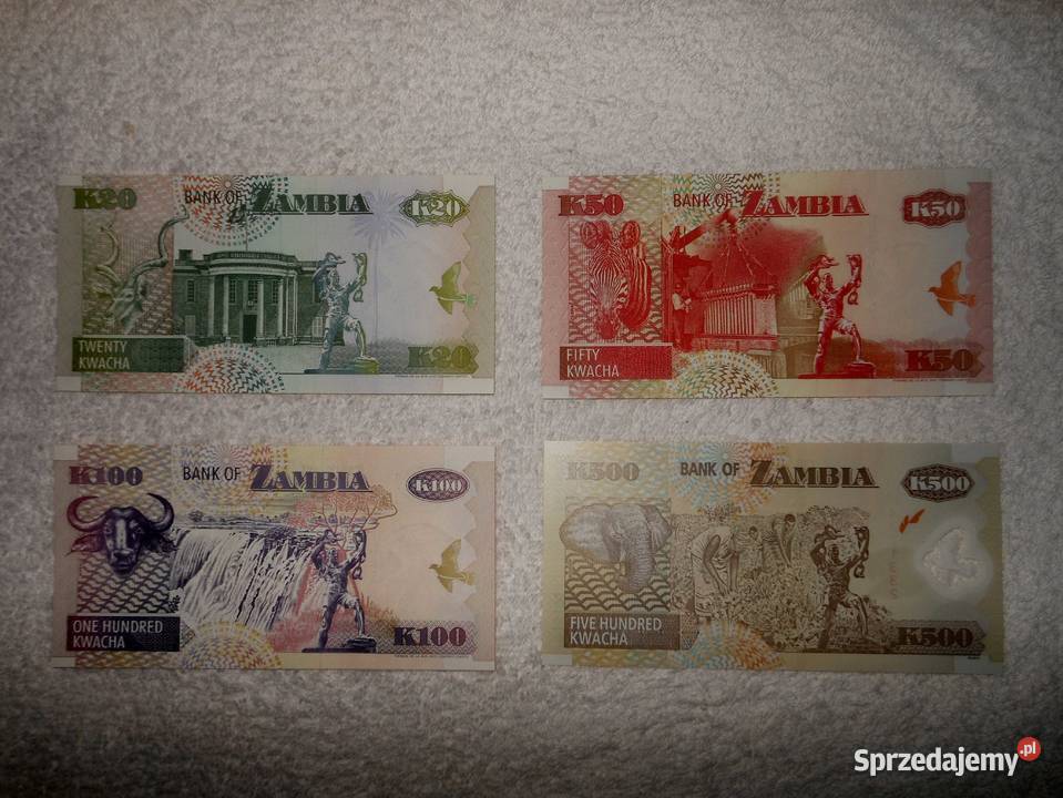 Dziewięć nowych polimerowych banknotów warmińsko-mazurskie Bukowo