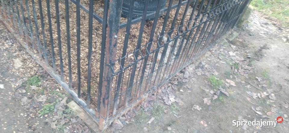 Kojec psa i buda Brzesko sprzedam