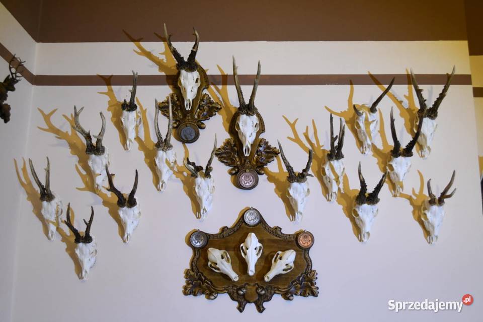 Rzeźbiona podkładka pod medalowe czaszki Odolanów