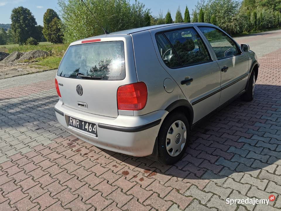 Polo 10 dlugie oplaty do jazdy Borek Stary