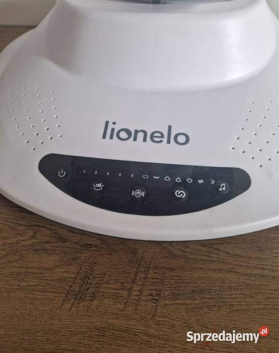 Bujaczek Lionello Bella Tczew