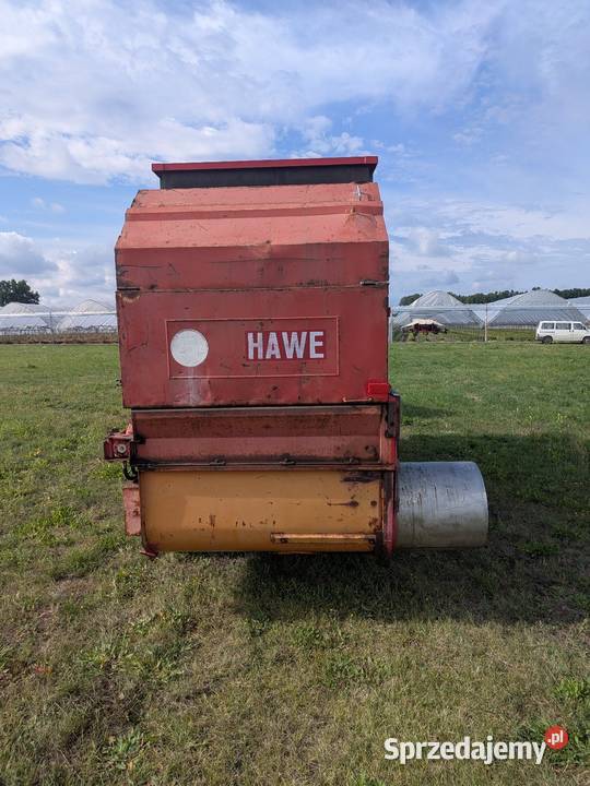 Paszowuz Hawe sprzedam