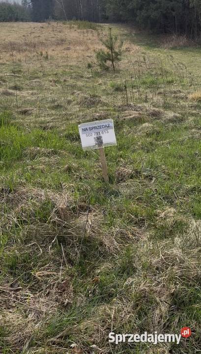 Łąka i las na sprzedaż Boczkowice gm Włoszczowa 5m świętokrzyskie