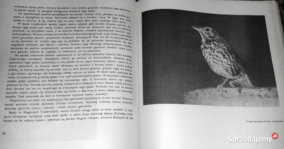 Skarby przyrody Dolnego Śląska Eugeniusz Rok wydania 1964 Pozostałe Chełm sprzedam
