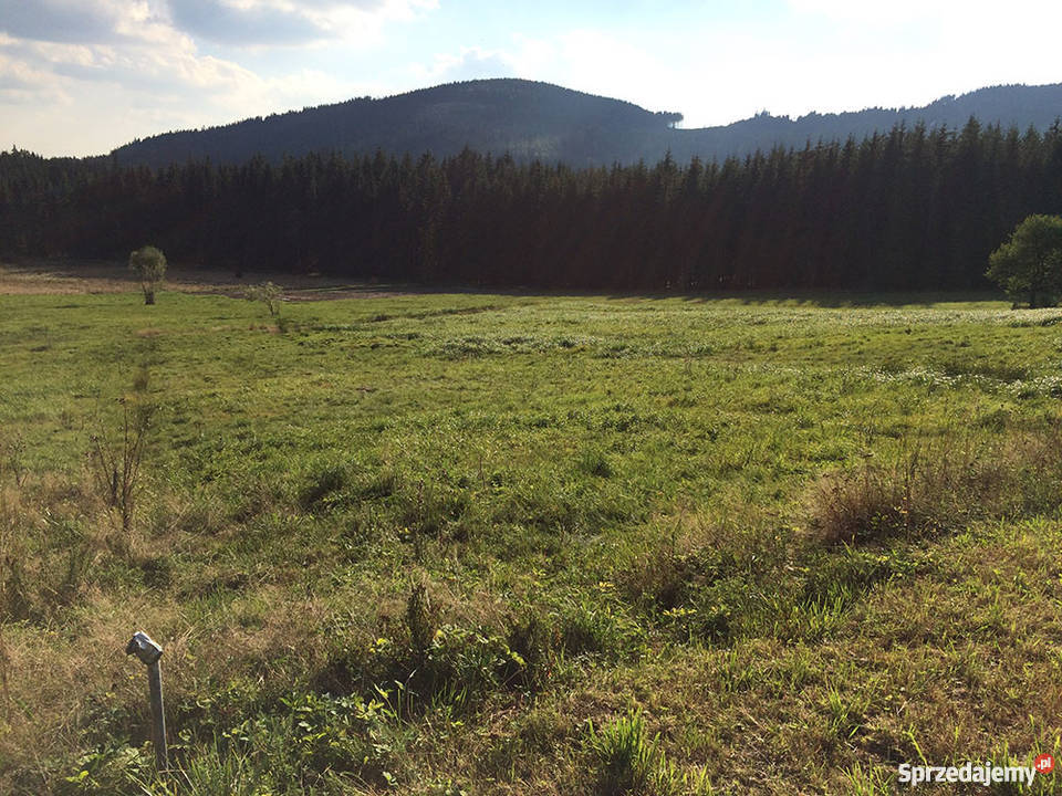 Działka budowlana w górach w Istebnej 7300m2 sprzedam