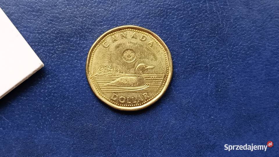 Stare monety 1 dolar 2019 Kanada Lesko