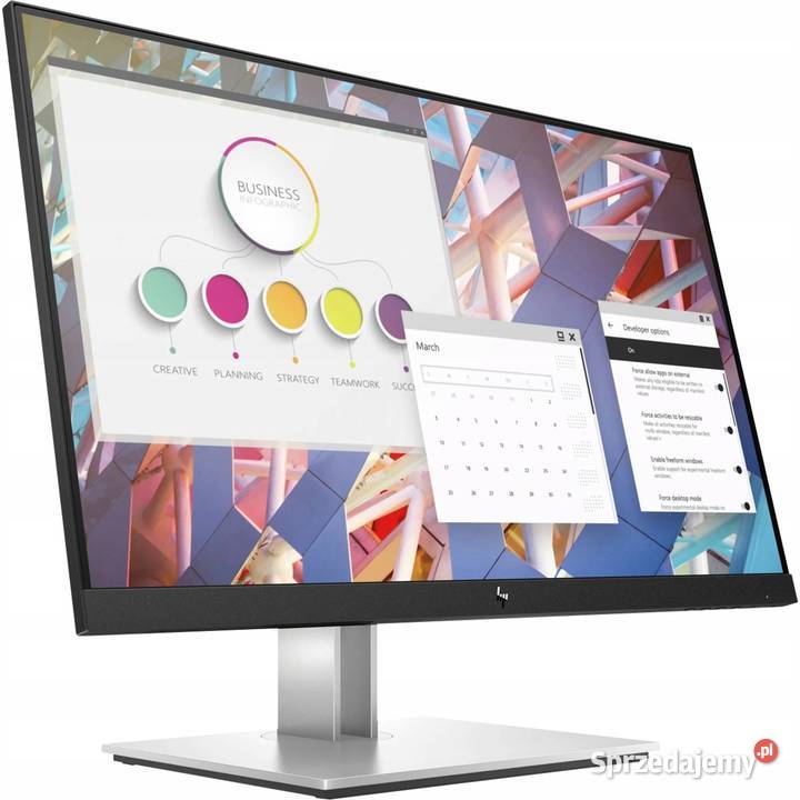 Monitor Hp E24 G4 Led 238 Full Hd 1920 X 1080 Px śląskie