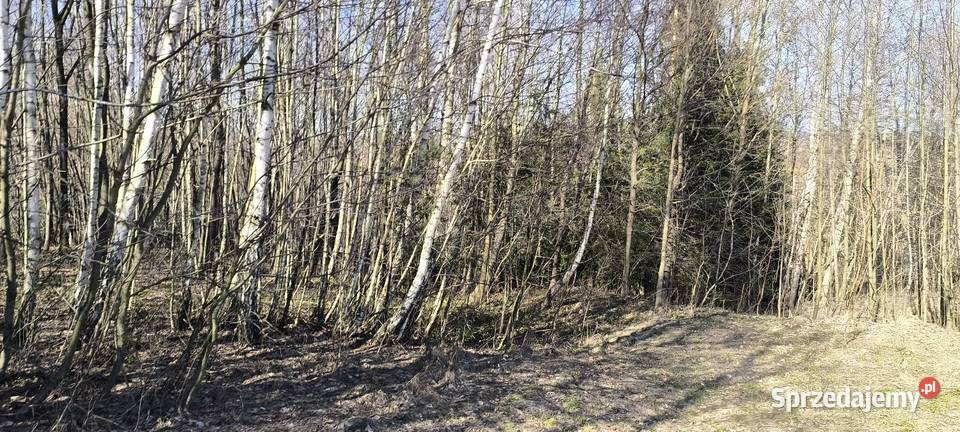 Działka rekreacyjnaw zaciszu 41arów utwardzona Błażowa