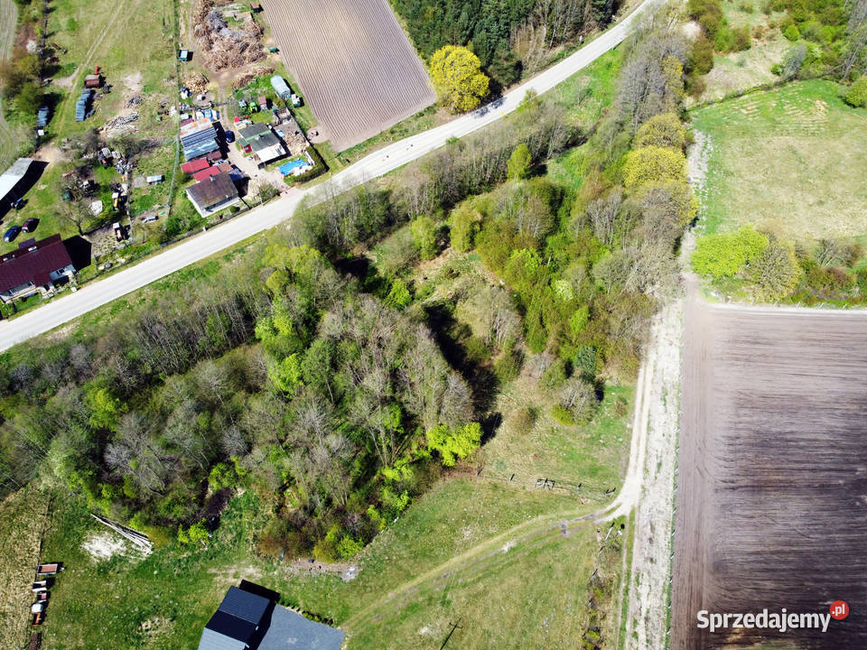 działka Dargiń 6000 m studnia strumyk drzewa prąd