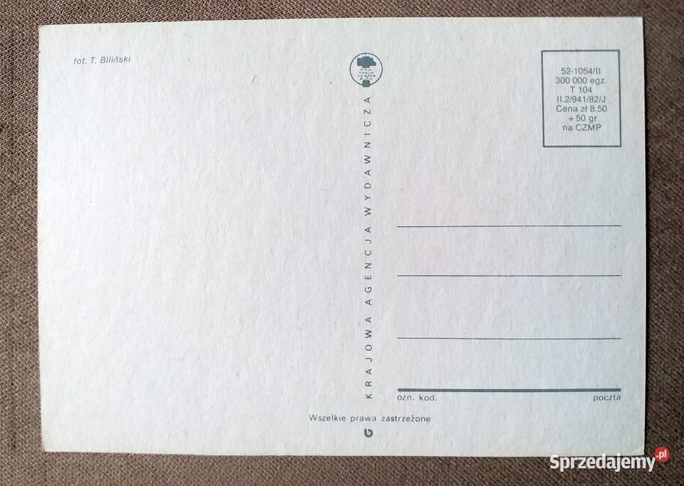 KWIATY OGRODOWE DO WAZONU FOT BILIŃSKI Piszczac sprzedam