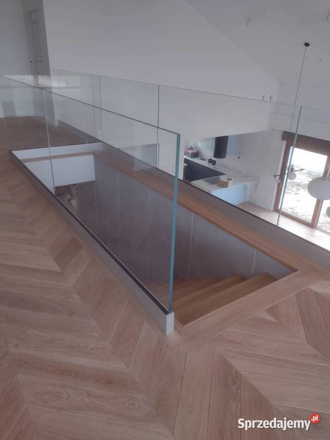 Jodła francuska Lublin