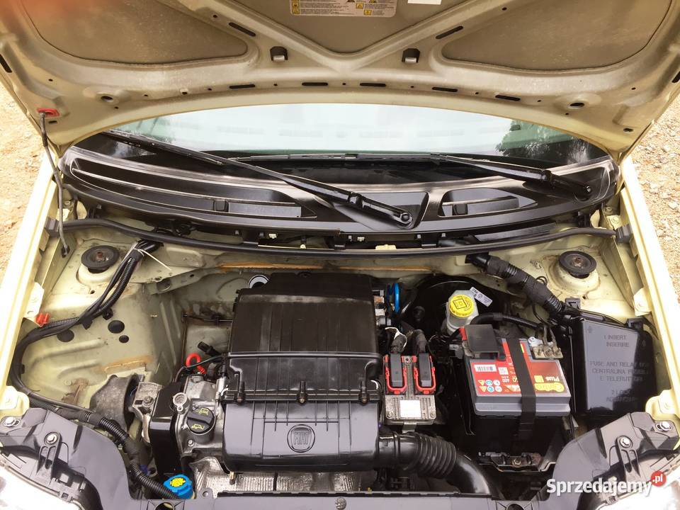 Fiat Panda 12 Active I wł 90 Unikat nowy garażowany Krzeszowice