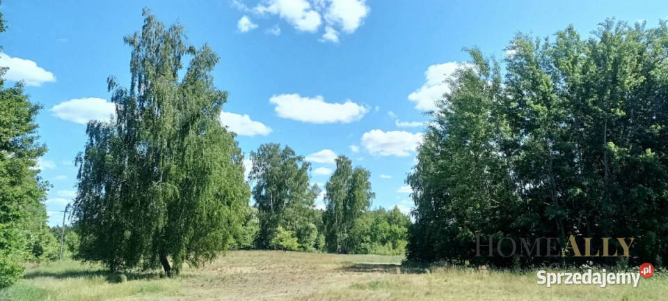 Grunt Zazdrość 18150m2 prąd sprzedam