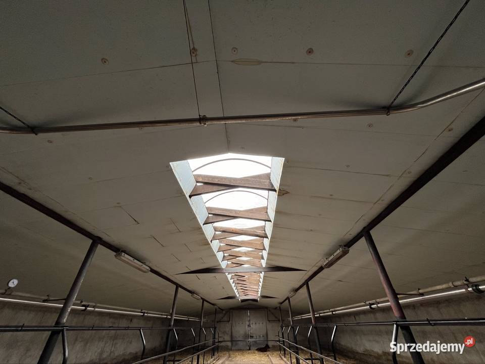 Dojarka przewodowa AlfaLaval Gościewicz sprzedam