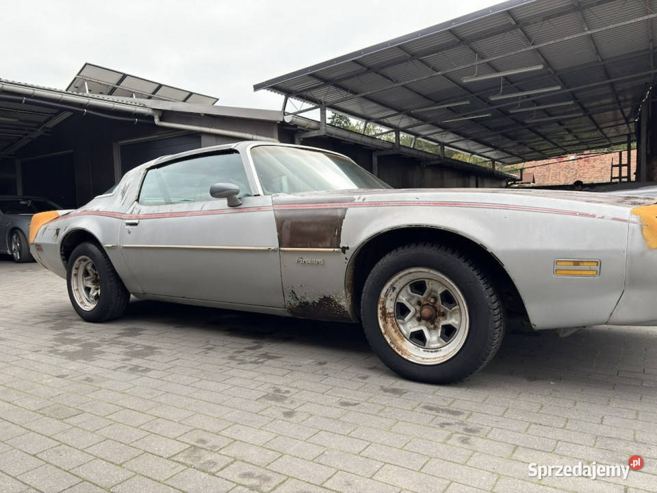Pontiac Firebird Trans Am Pontiac Firebird 1981 Rok produkcji 1981 lubuskie sprzedam