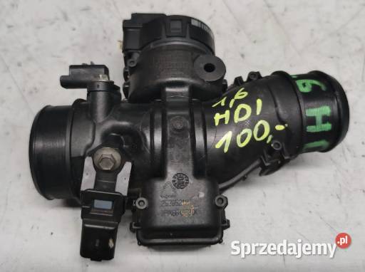 Przepustnica Peugeot16 HDI 9660030380