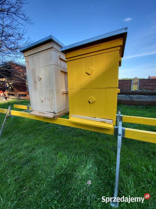 Ule wielkopolskie ule drewniane Ramki