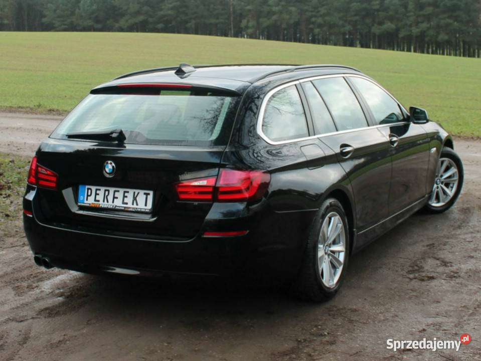 BMW 520 F10 F11 20 D 184 BiXenon SKÓRA Duża NAVI pomorskie Zielenin