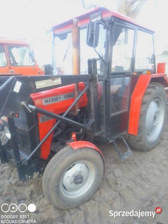 Massey Ferguson 235 lubuskie Chwalim