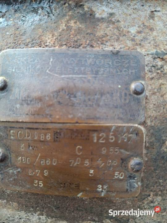 Krajzega cyrkulatka Majdanek