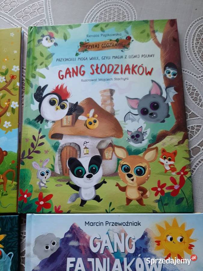 Ksiazeczki fajniaki i słodziaki Stronie Śląskie
