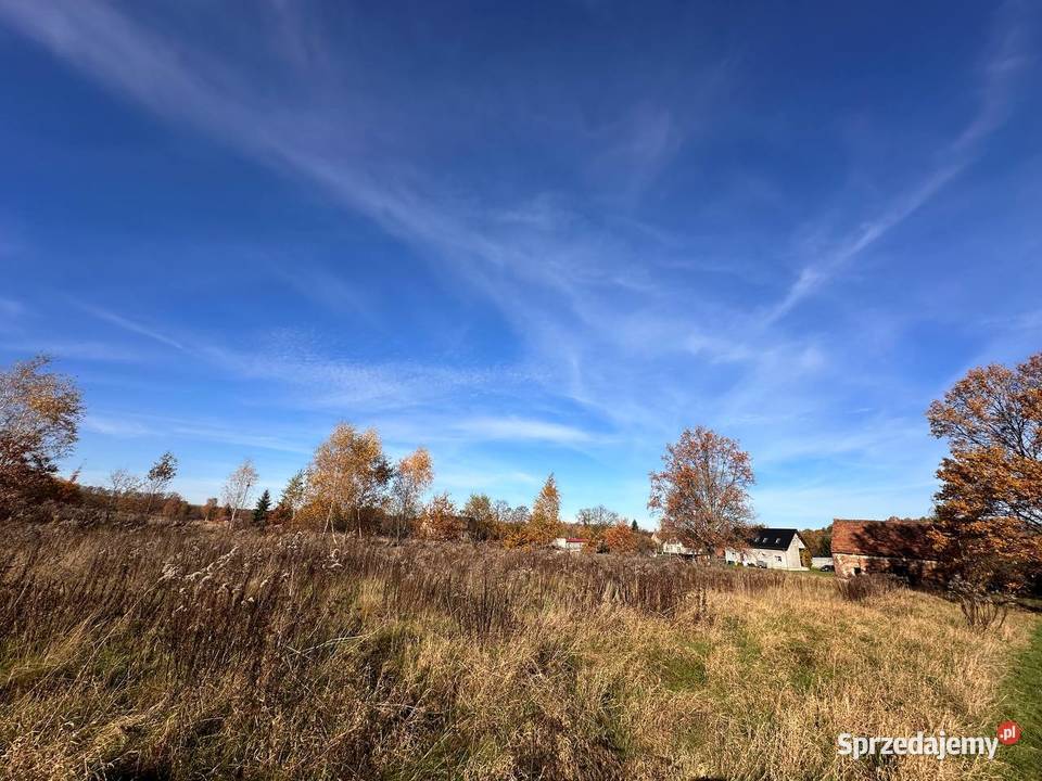 Działka budowlana kolorowe jeziorka Grunty i działki Chełmica sprzedam