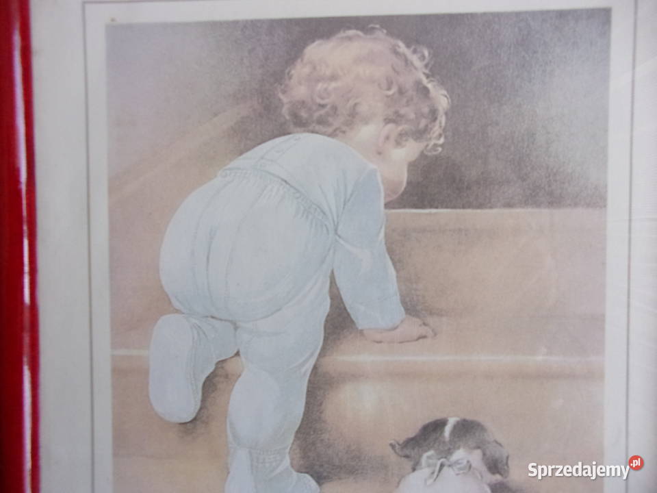 ładne 2 reprodukcje z serii Garden Collection Dekoracje i ozdoby Warszawa