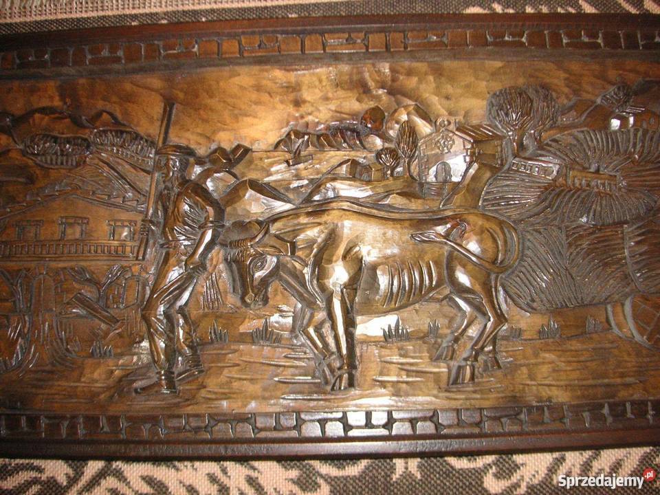 WIELKA PŁASKORZEŻBADREWNO 101x41x35 Wrocław