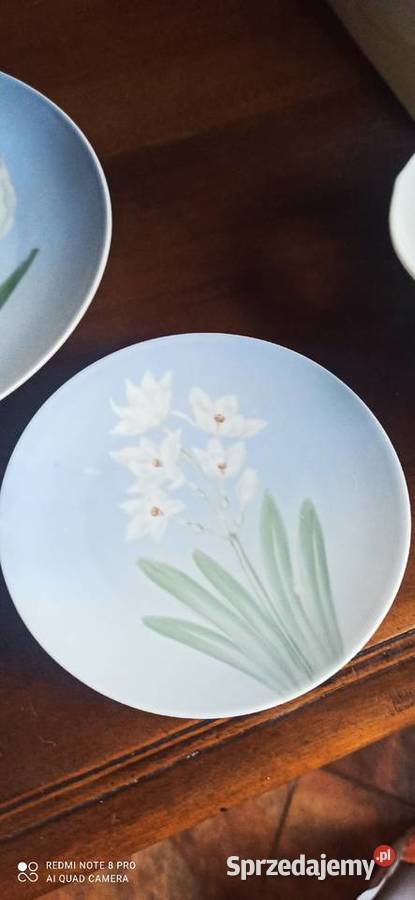 Talerz Rosenthal Sevres Sygnał Thomas Syg z Porcelana i szkło